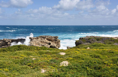 Scenic view of sea against sky