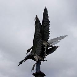 Low angle view of bird flying against sky