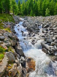 River flowing through rocks in forest