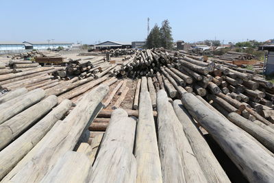 Stack of logs in forest against sky