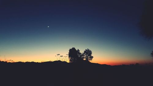 Silhouette trees against clear sky during sunset