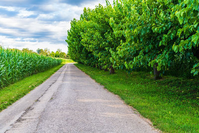 Road amidst trees on field against sky