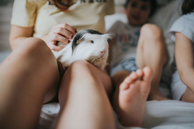 Unrecognizable same gender parents and kids in pajamas playing with guinea pigs and relaxing on bed in bedroom