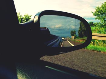 Reflection of trees in side-view mirror