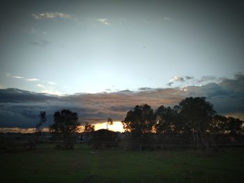 Trees on field against sky during sunset