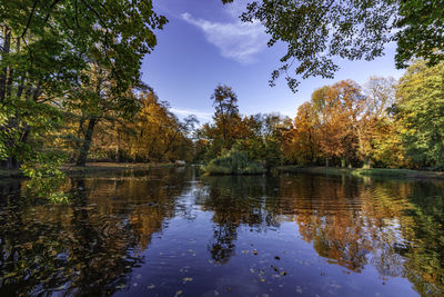 Scenic view of lake in forest against sky