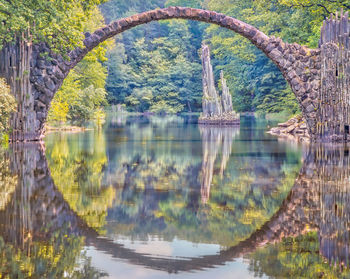 Reflection of trees in water