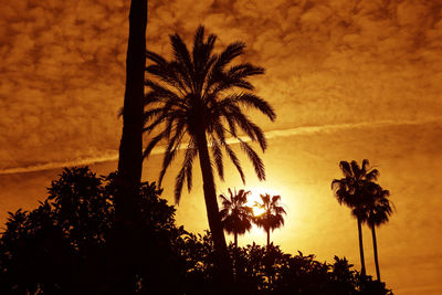 Silhouette palm trees against sky during sunset