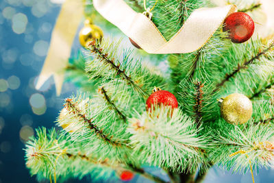 Close-up of christmas tree