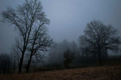 Bare trees on field against foggy sky