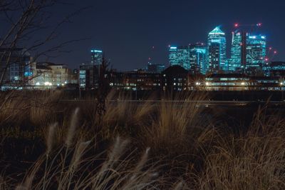 Illuminated cityscape at night