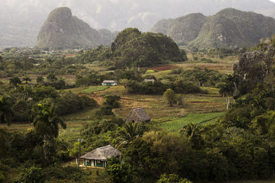 Scenic view of agricultural landscape