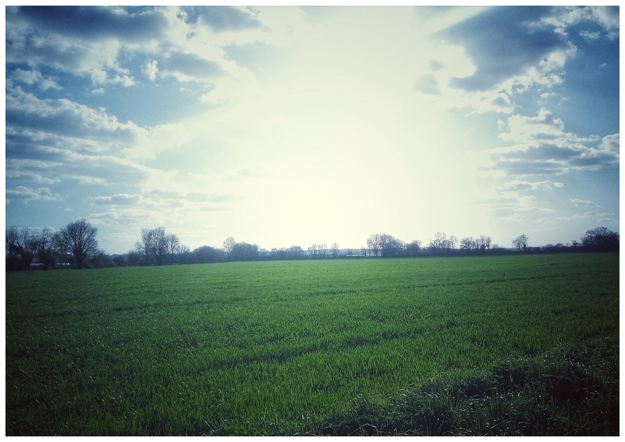 landscape, field, land, environment, sky, tranquility, tranquil scene, plant, rural scene, agriculture, nature, auto post production filter, grass, transfer print, scenics - nature, green color, cloud - sky, day, beauty in nature, growth, no people, outdoors