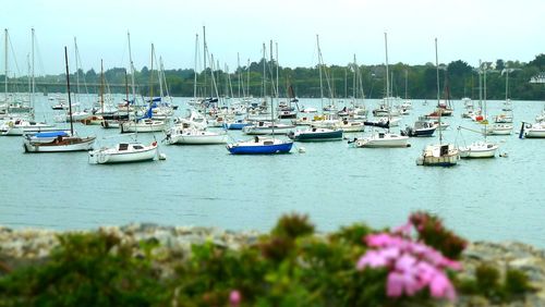 Boats moored at harbor against sky