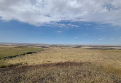 Scenic view of field against sky