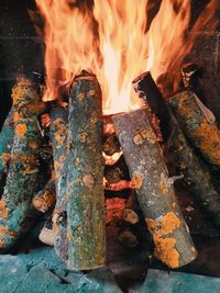 Close-up of fire on log