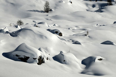 Close-up of birds on snow covered landscape