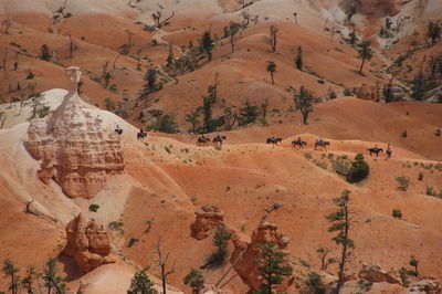 Scenic view of landscape