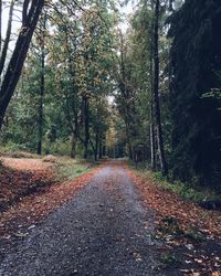 Road amidst trees in forest during autumn
