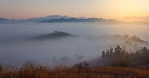 Beautiful nature in romania