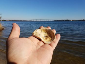 Close-up of hand holding sea against clear sky