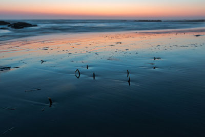Flock of birds on beach against sky during sunset