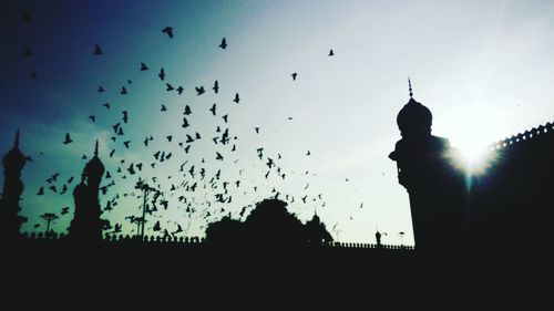 Low angle view of silhouette birds flying against sky