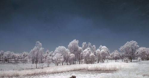 Scenic view of snow covered landscape