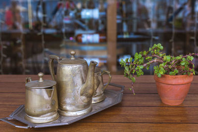 Close-up of potted plant on table