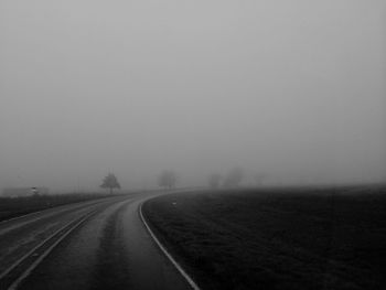 Empty road along trees