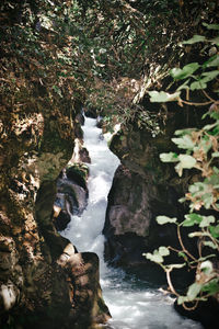 Stream flowing through rocks in forest