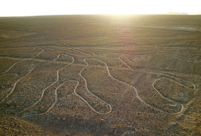 Amazing massive ancient geoglyphs of nazca lines called arbol tree in the evening sunlight, peru