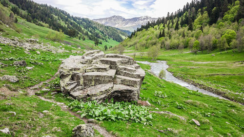 Scenic view of green landscape