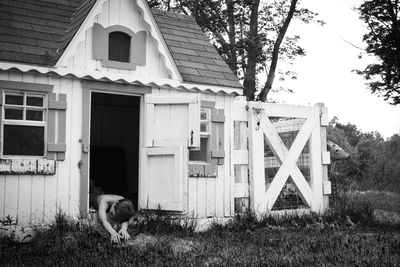 Dog in lawn