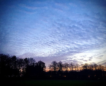 Silhouette trees on field against sky at sunset