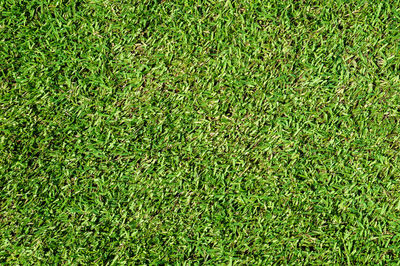 High angle view of soccer field