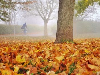 Man falling on autumn leaves on field