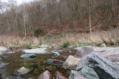 River flowing through rocks in forest