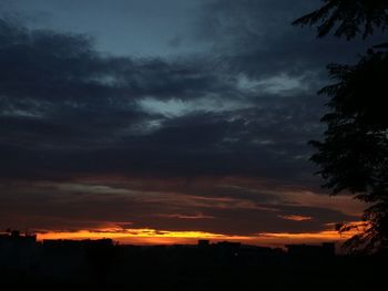 Silhouette of trees against dramatic sky