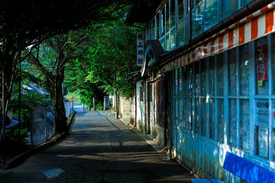 Empty road amidst trees and buildings in city