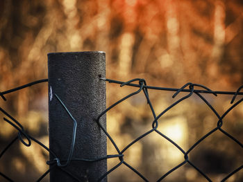 Close-up of chainlink fence