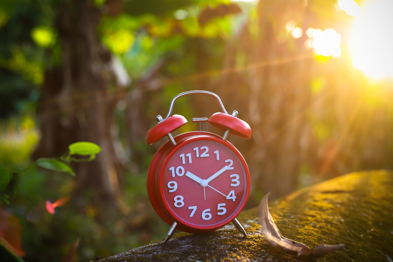 CLOSE-UP OF CLOCK AGAINST TREES