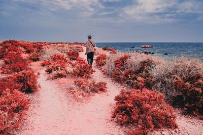 Rear view of person standing on beach against sky