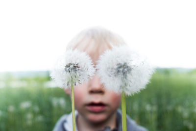 Close-up portrait of a dandelion