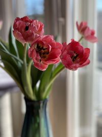 Close-up of rose bouquet in vase