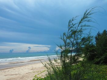 Scenic view of beach against sky