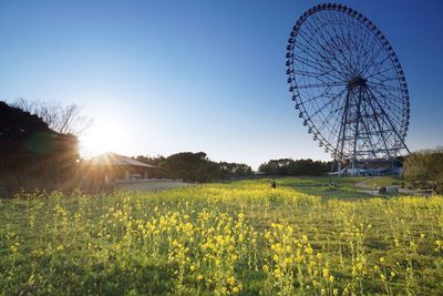 View of field against clear sky