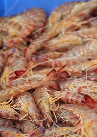 Close-up of prawns for sale in market