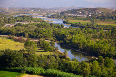 Scenic view of lake by trees