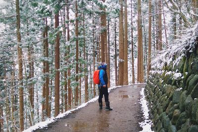 Full length of woman standing in forest